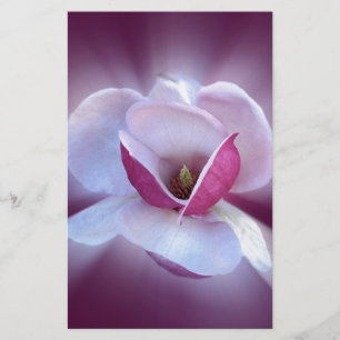rosa Magnolia-skuggor Brevpapper