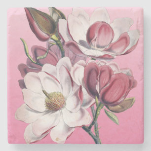 Rosa Magnolia Stenunderlägg