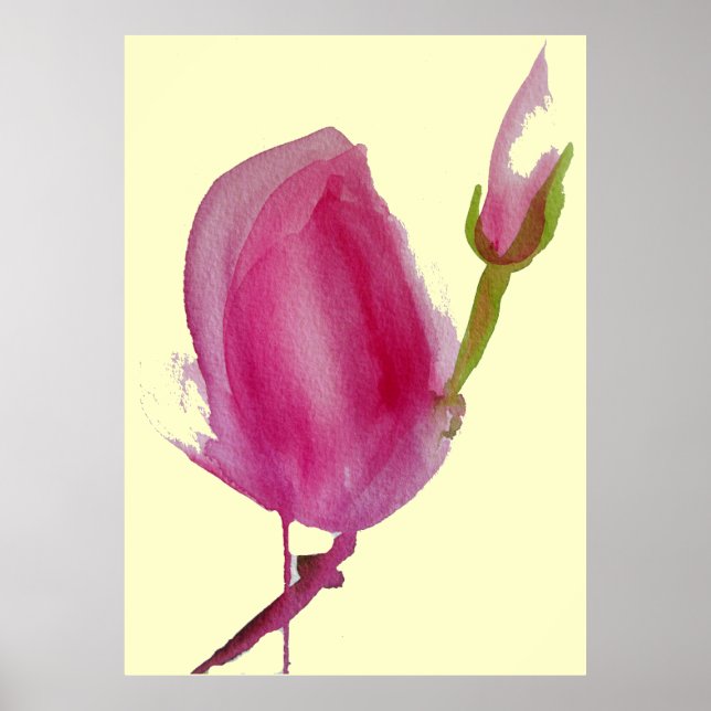 Rosa Magnolia - stor rosa - vattenfärgskonst Poster (Framsidan)