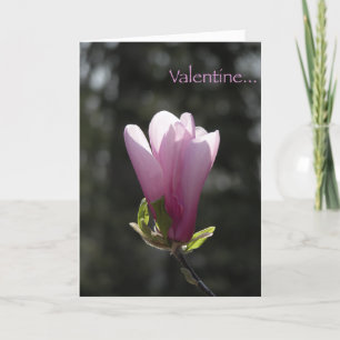 Rosa Magnolia Valentindagskort Helgkort