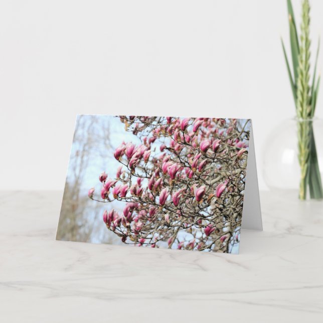 Rosa magnolias kort (Framsida)