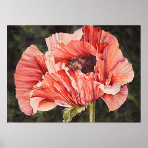 Rosa Maj Poppy Botanical Poster Kanvastryck