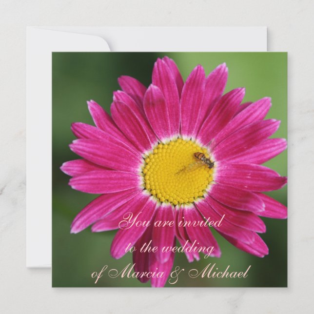 Rosa målad Daisy Inbjudningar (Framsida)