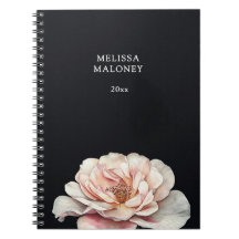 Rosa Målad i Blush Rosa på Svart
