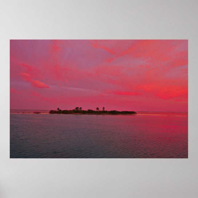 Rosa Maldives Poster (Framsidan)