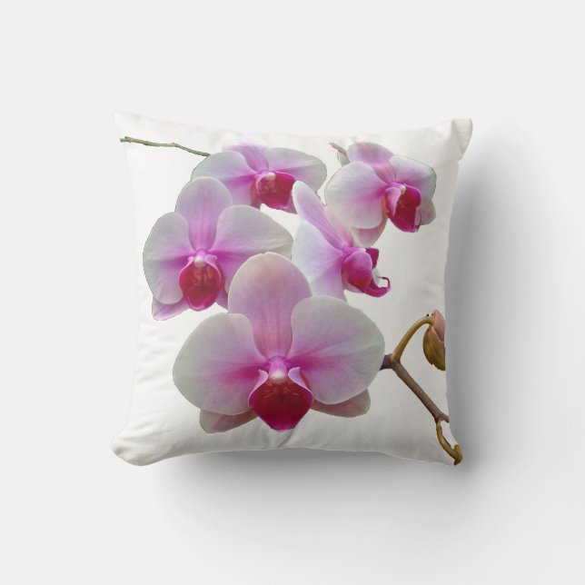 Rosa malOrchids på vit - Phalaenopsis Kudde (Framsida)