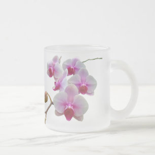 Rosa malOrchids - Phalaenopsis Frostad Glasmugg