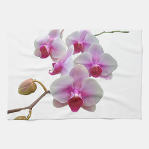 Rosa malOrchids - Phalaenopsis Kökshandduk