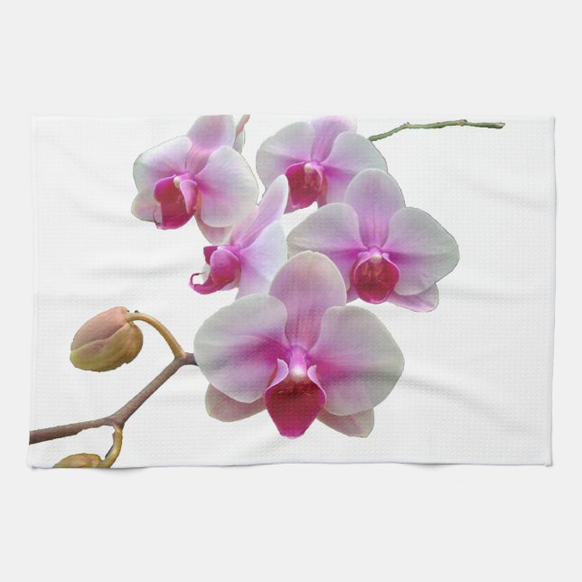 Rosa malOrchids - Phalaenopsis Kökshandduk (Horisontell)