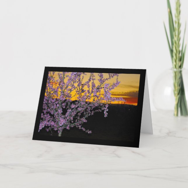 Rosa mandelblom i gul himmel kort (Framsida)