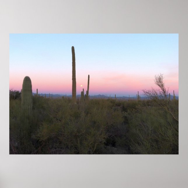Rosa måne över Saguaro vid soluppgång Poster (Framsidan)