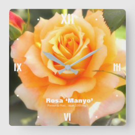 Rosa ‘Manyo’:Acrylic Wall Clock Fyrkantig Klocka