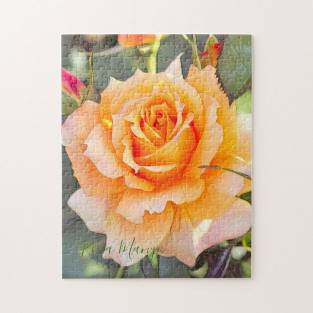 Rosa‘Manyo’ [Pussel: 252P] Pussel (Vertikal)