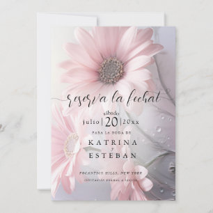 rosa margarita blommigt gardar la fecha 2 spara datumet