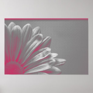 Rosa - markerad blomma poster