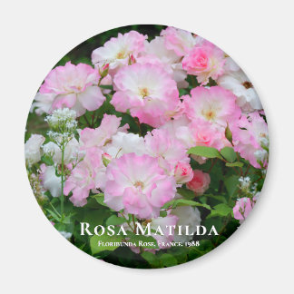 Rosa Matilda 磁铁 Magnet