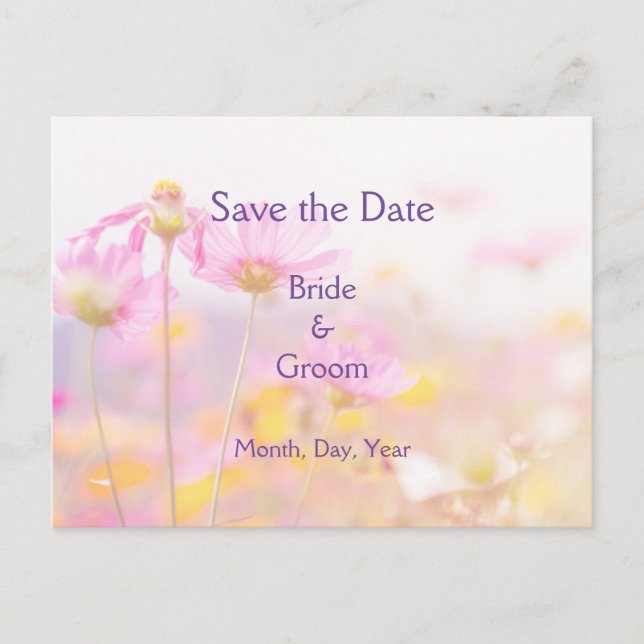 Rosa Mauve Lila, Bevackra Cosmos Garden Flower Meddelande Vykort (Framsida)