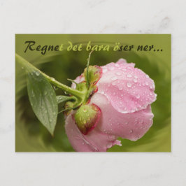 Rosa med glittrande vattendropar CC0516 Vykort