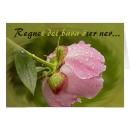 Rosa med glittrande vattendropar CC0779 Hälsningskort