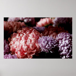 Rosa med lila asterblommor i ljus poster