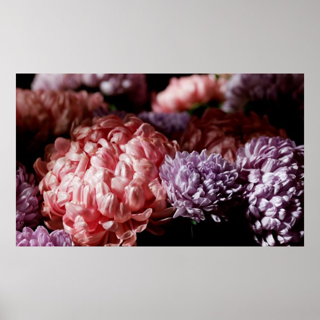 Rosa med lila asterblommor i ljus poster (Framsidan)