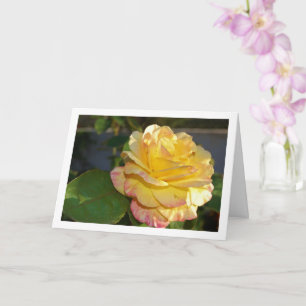 Rosa med rosa och gula blommor kort