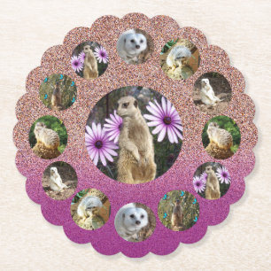 Rosa Meerkat Surprise, Pappra Party Underlägg