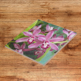 Rosa Mini Cymbidium Orchids Blommigt Kakelplatta