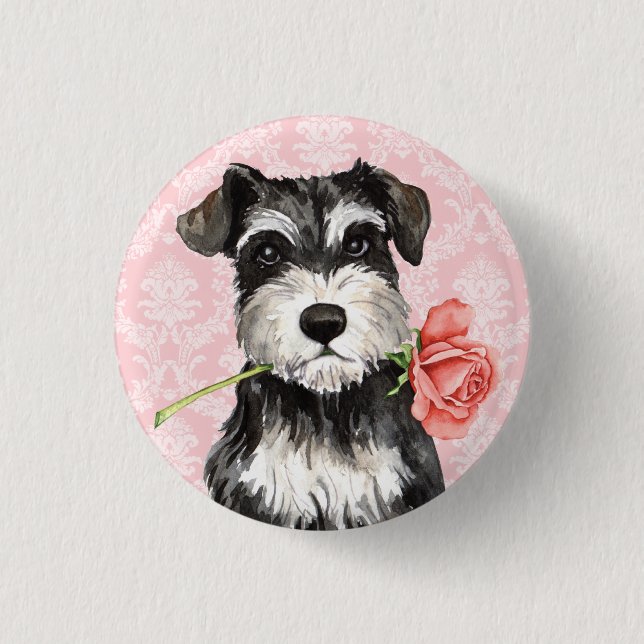 Rosa mini- Schnauzer för valentin Knapp (Framsida)
