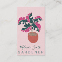 Rosa Monstera-växt Handritad