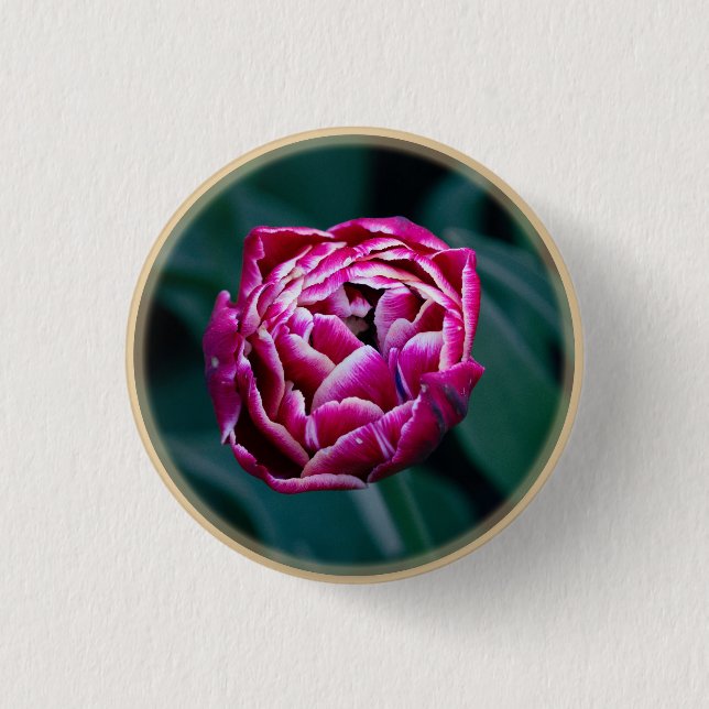Rosa moody tulpanrör knapp (Framsida)