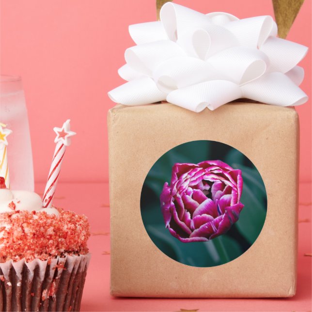 Rosa moody tulpanrör runt klistermärke (Part)