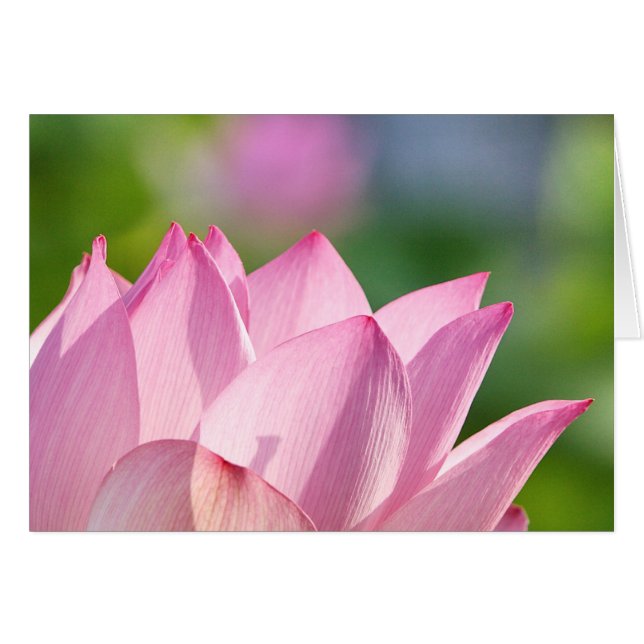 Rosa Morgon OBS Kort (Framsidan Horizontal)