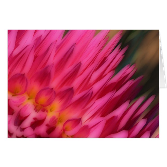 Rosa-Morsa Hälsningskort (Framsidan Horizontal)