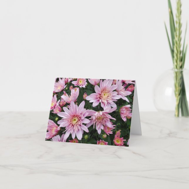 Rosa morsa kort (Framsida)