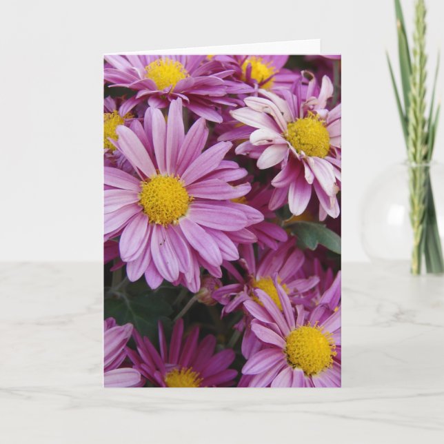 Rosa Morsa Kort (Framsida)