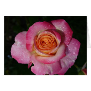 Rosa morse ro hälsningskort