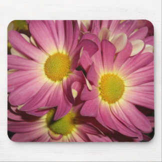 Rosa morsor Mousepad Musmatta