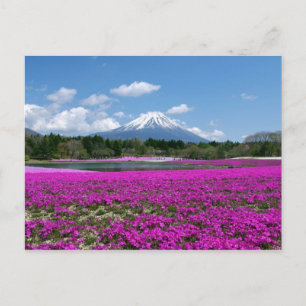 Rosa Moss och Mt. Fuji i bakgrunden Vykort