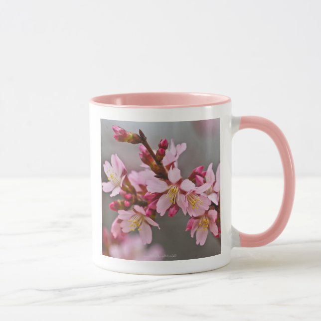 Rosa mot A Grått Himlar japanska körsbärsBlommar C Mugg (Höger)