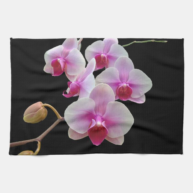 Rosa Moth Orchids ON Black-Phalaenopsis Kökshandduk (Horisontell)