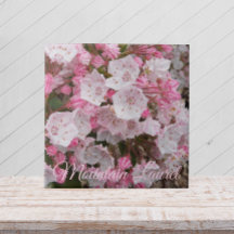 Rosa Mountain Laurel Blommigt Ceramic Tile
