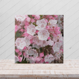 Rosa Mountain Laurel Blommigt Ceramic Tile Kakelplatta