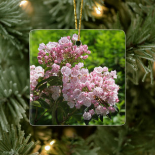 Rosa Mountain Laurel Flowers Julgransprydnad Keramik