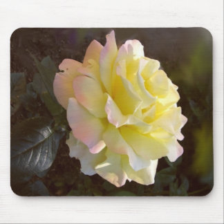Rosa mousepad för fred musmatta