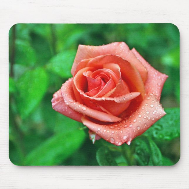 Rosa mousepad musmatta (Framsidan)
