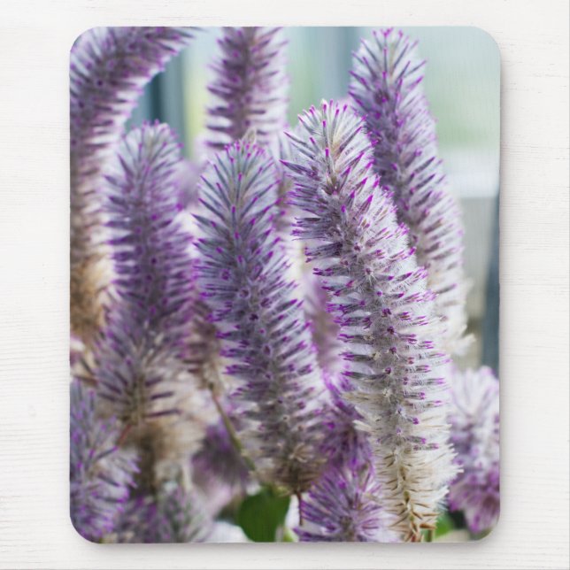 Rosa Mulla Mulla Mousepad Musmatta (Framsidan)