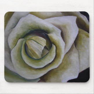 Rosa mus musmatta