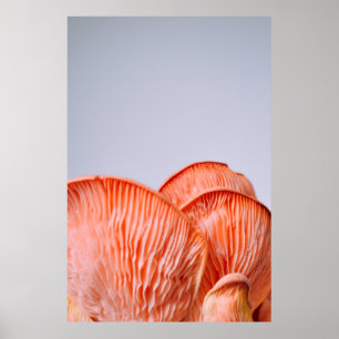 ROSA MUSHROOMS POSTER