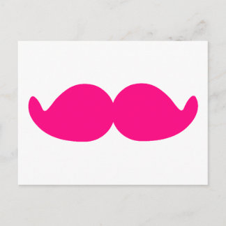 Rosa Mustache Rosa Mustache Bushy Shock rosa Stach Vykort
